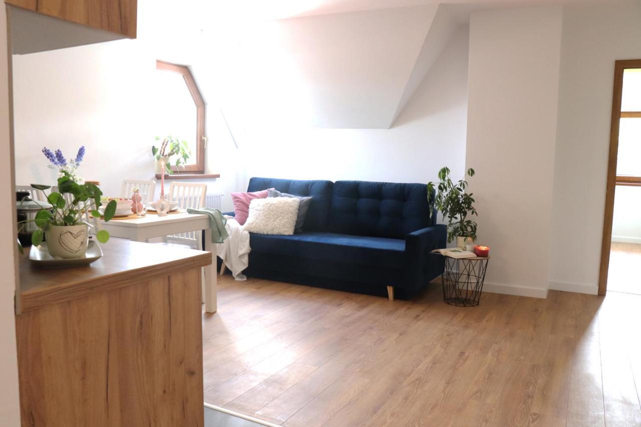 Apartamenty Pardałówka 50 Zakopane Exterior foto